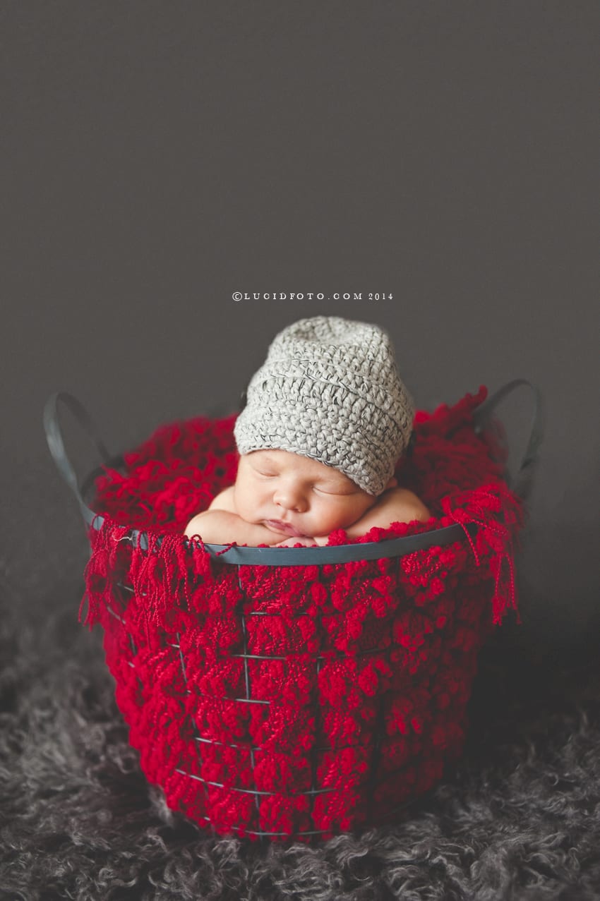 newborn, baby portraits, allisonanne studios, lucidfoto, lucid